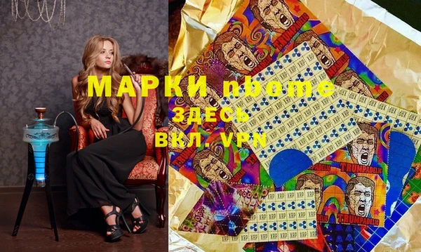 сатива Каменка