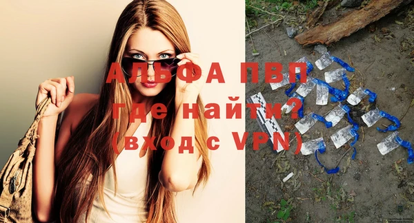 сатива Каменка