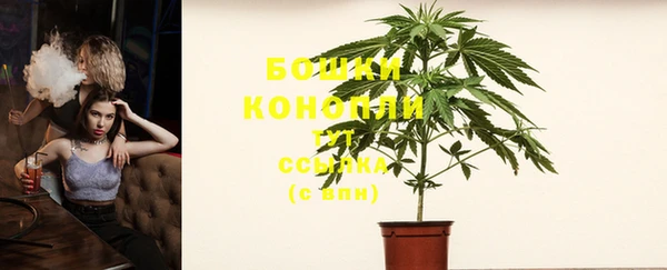 сатива Каменка