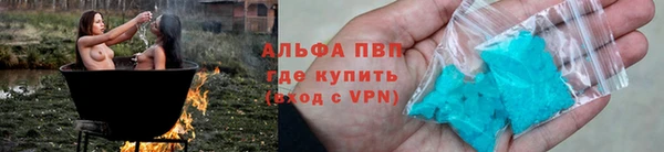 сатива Каменка