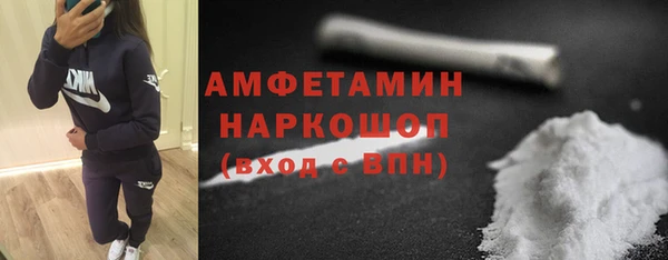 сатива Каменка