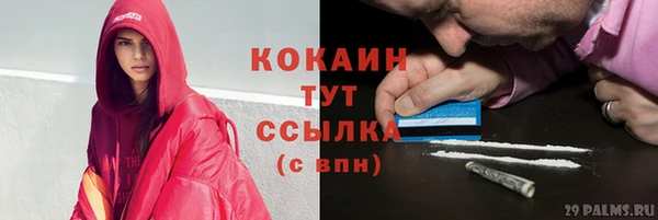 амф Туринск