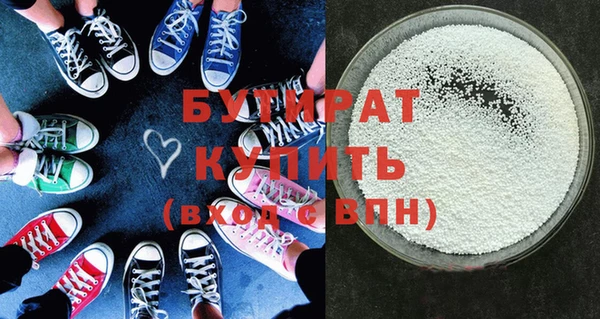 сатива Каменка