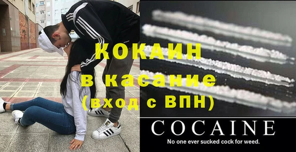 сатива Каменка