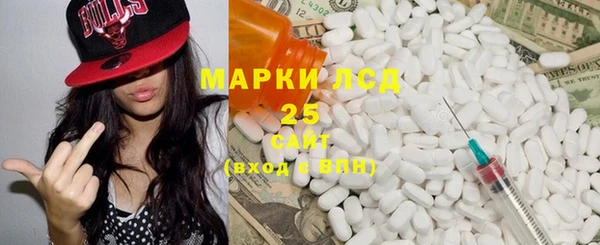 сатива Каменка
