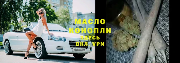 сатива Каменка