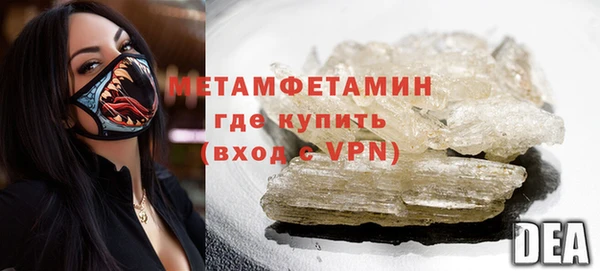 сатива Каменка