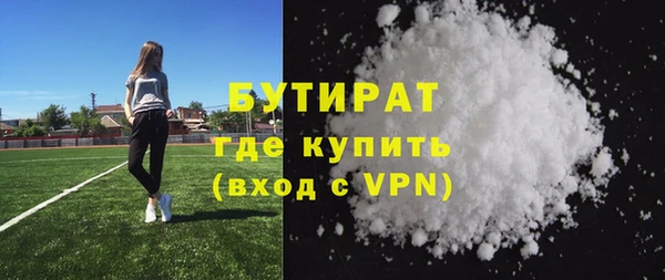 сатива Каменка