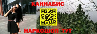 Альфа ПВП Беслан