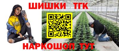 индика Бийск