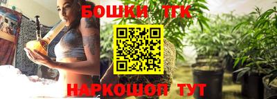 индика Бийск