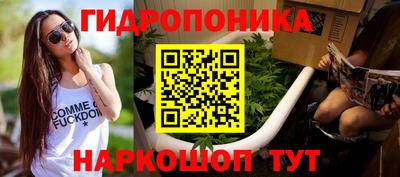 Альфа ПВП Беслан