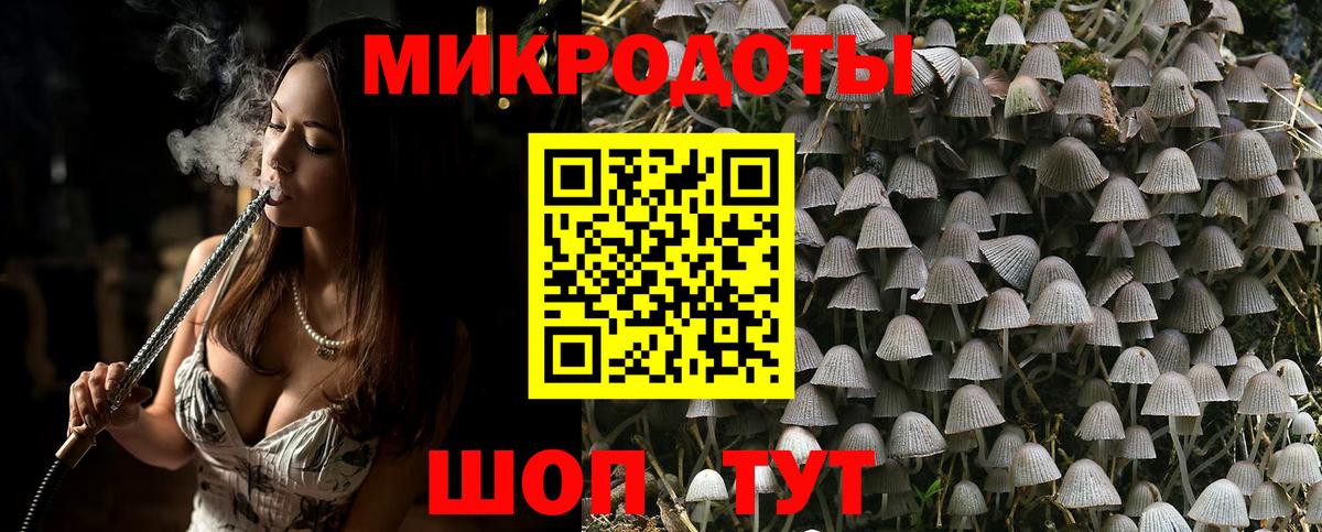 Галлюциногенные грибы мухоморы Каменск-Уральский